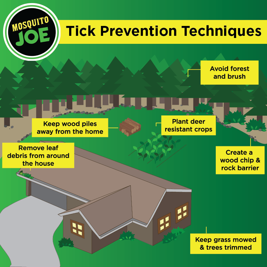 Infographic of house in woods with tick prevention tips on yellow boxes around house