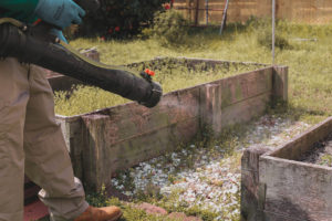 Image of a mosquito joe technician spraying a yard