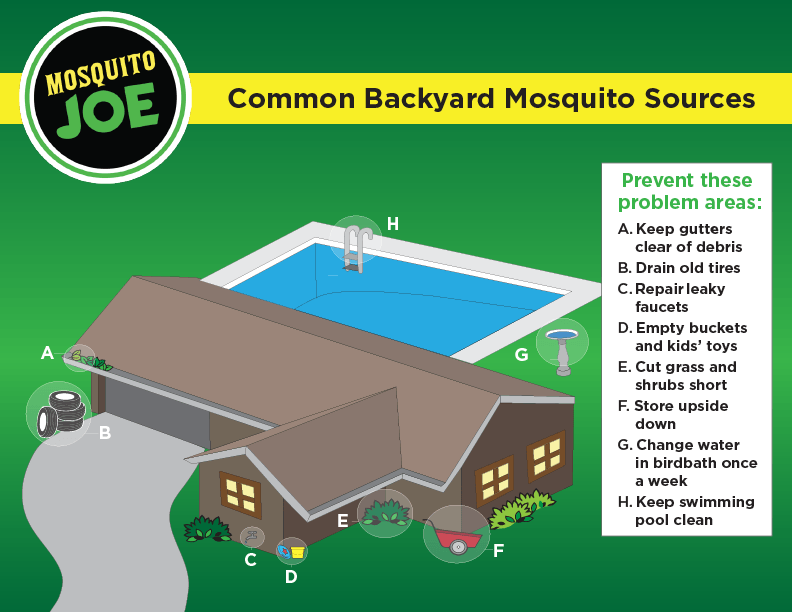 Common Backyard Mosquito Sources for your Ohio residence.